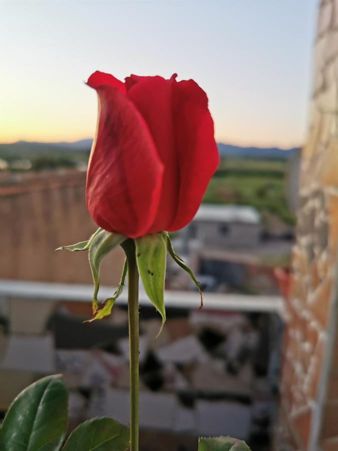 منزل الضيف Benissuera  في Casa Rural L'Avia Tica المظهر الخارجي الصورة